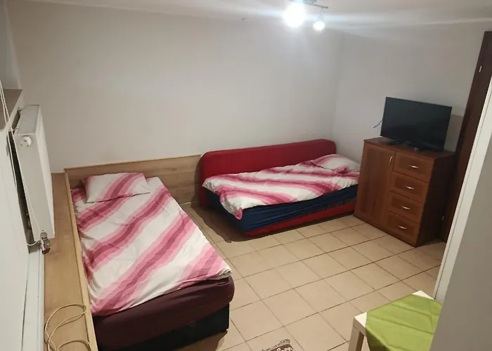 Fenix Pracownicze, Rodzinne, Typu Standard,dluzsze Pobyty Grzybno